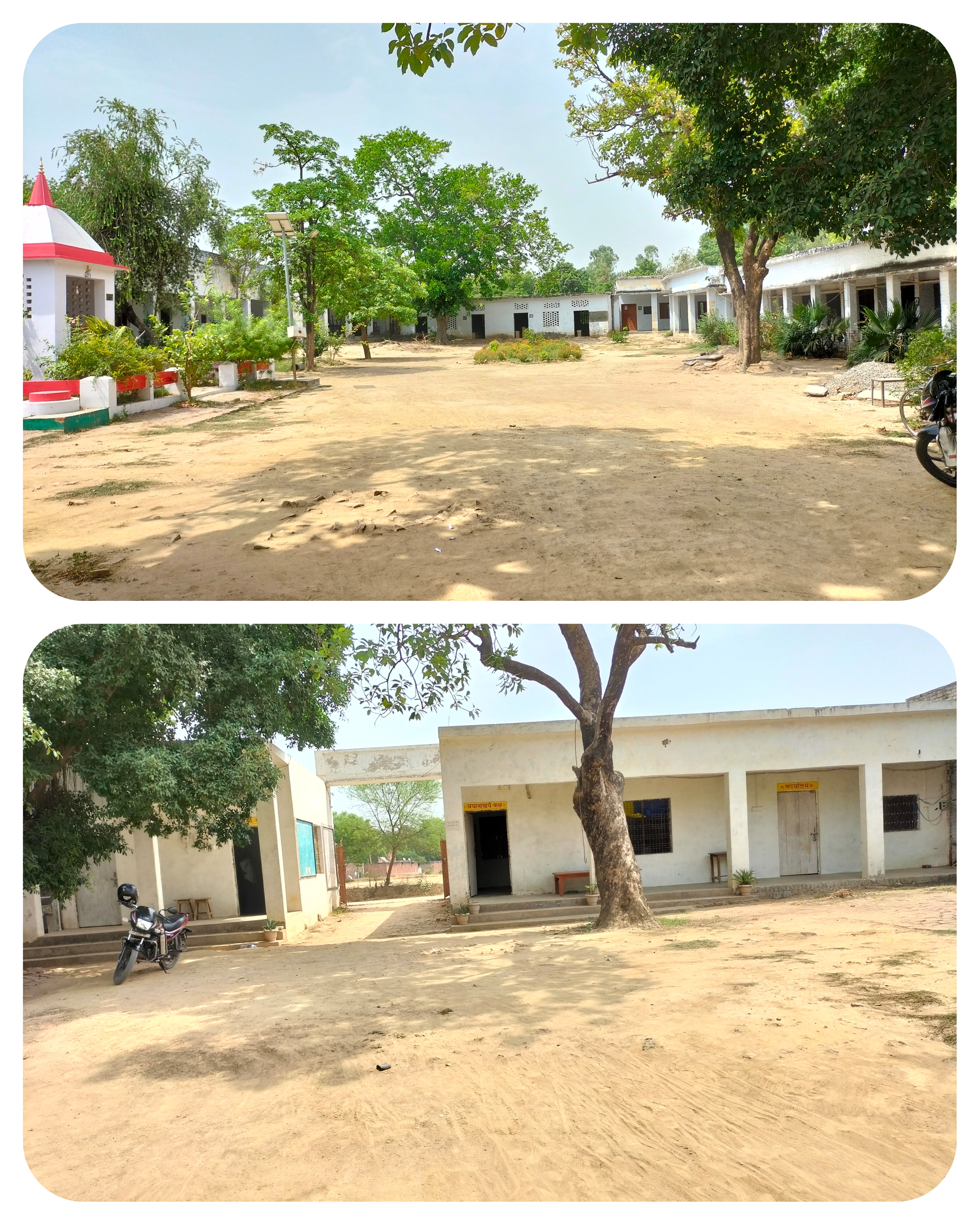 School
